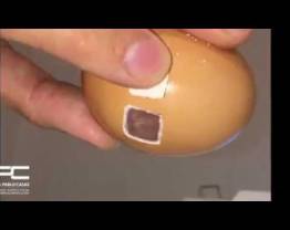 Dr. Casas Piezotome M+ Eggs