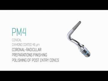 PM4 PROSTHESIS